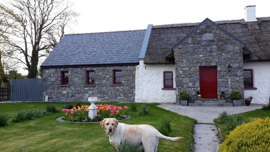 The Thatched Bed & Breakfast Claregalway